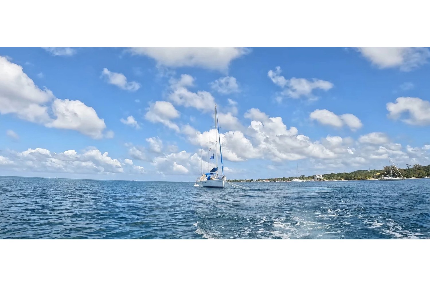 bce70a_6b4d9f6852514a9d8765d0c15e453156mv2