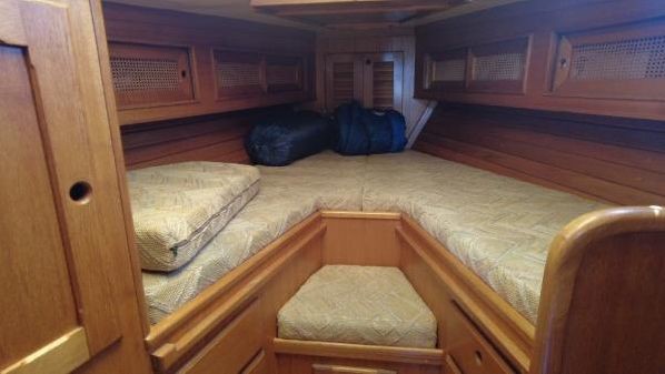 8314445_20220705084922704_1_LARGE