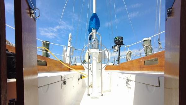 8314445_20220705084923699_1_LARGE