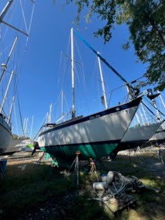 E185AF23-0383-4DA4-BA8D-64E3C24184D7remote49060692157d53e725fb295602ee651c2d779504-4-original-Copy