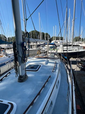 E5830EA6-3642-41BE-BA17-F9210A6D05A8remote49060692157d53e725fb295602ee651c2d779504-7-original-Copy