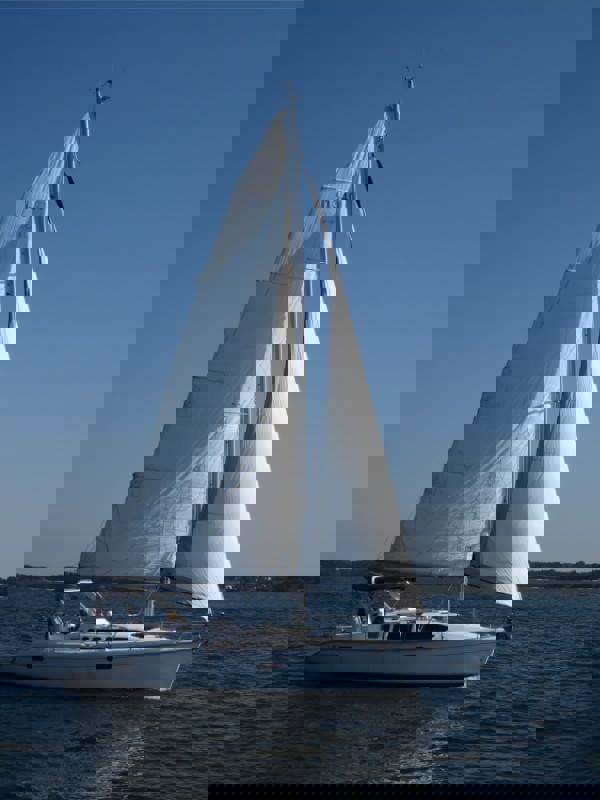 FB_IMG_1718270966324